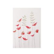Anemones & Grass