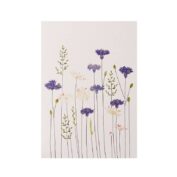 Cornflowers & Daisies