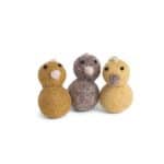 Round mini chickens