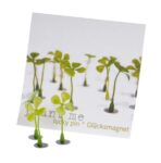 Plant me