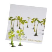 Plant me