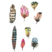 Flying Color
