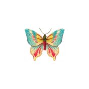 Butterfly 2