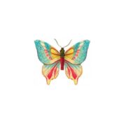 Butterfly 2