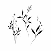 Botanicals