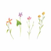Petite Florals