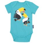 Toucan
