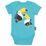 Toucan