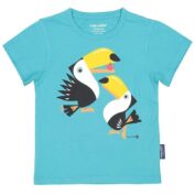 Toucan