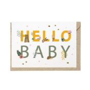 Hello Baby
