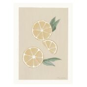 Kunstposter eines handgezeichneten Zitrone