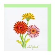 Gerbera