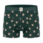 Lustige Boxershorts "Francis" aus zertifizierter Bio Baumwolle