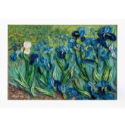 Van Gogh - Iris