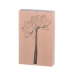 Amaryllis