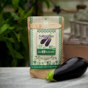 Aubergine