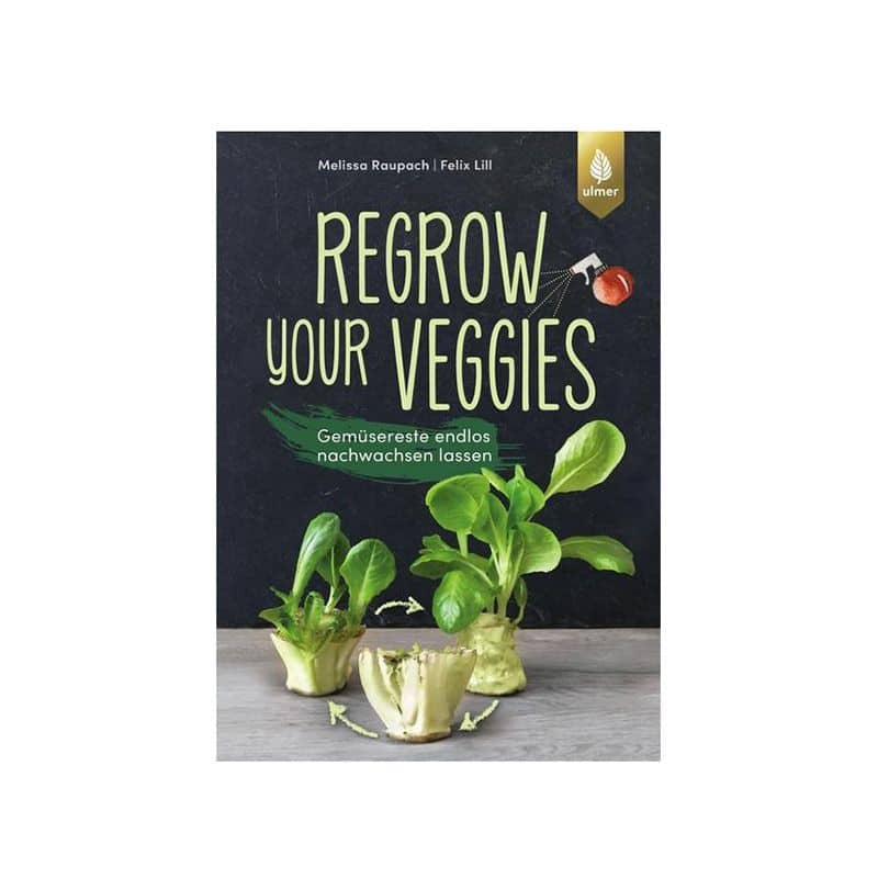 Regrow your veggies