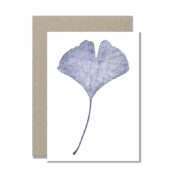 Ginkgo
