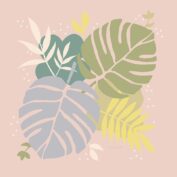 Monstera