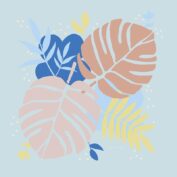 Monstera