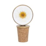 Dried Daisy