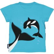 Orca