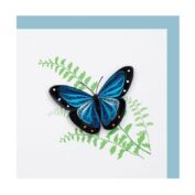Schmetterling