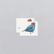 Business Bird
