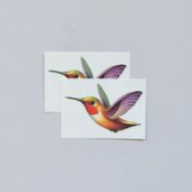 Hummingbird