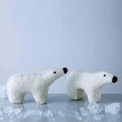 Polar The Bear