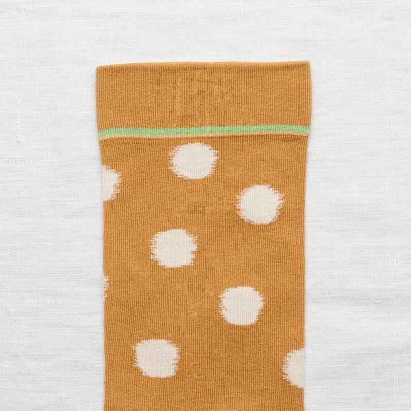 Polka Dot
