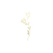 Gold Wildflower