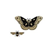 Winged Duo