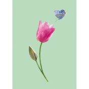Tulpe