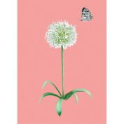 Ornamental Onion
