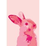 animal rabbit