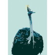 animal ostriche
