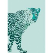 animal leopard
