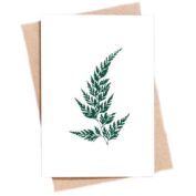 Wood Fern