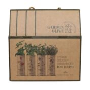 Garden Olive