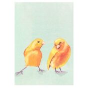 Yellow Birds