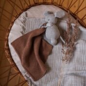 Elefant sugar grey