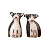 Boston Terrier Dog
