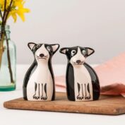 Boston Terrier Dog