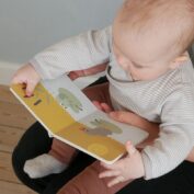 Animal Book