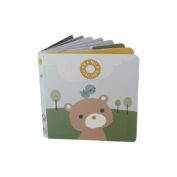 Teddy Book