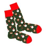 Rudolph in the Forest