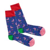 Flamingo Fest - 36-40