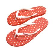 Polka Dot - 39-40