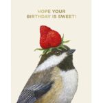 Hope Your Birthday Is Sweet